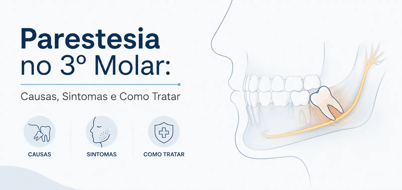 Parestesia no 3º Molar: Causas, Sintomas e Como Tratar